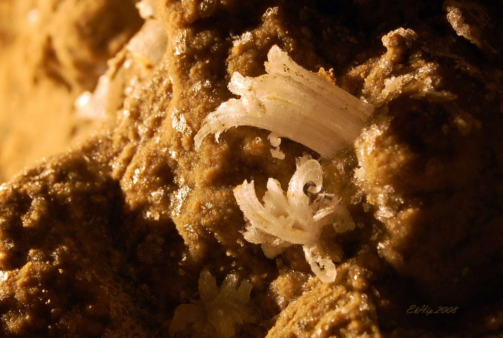 Sádrovce v Javorovej priepasti