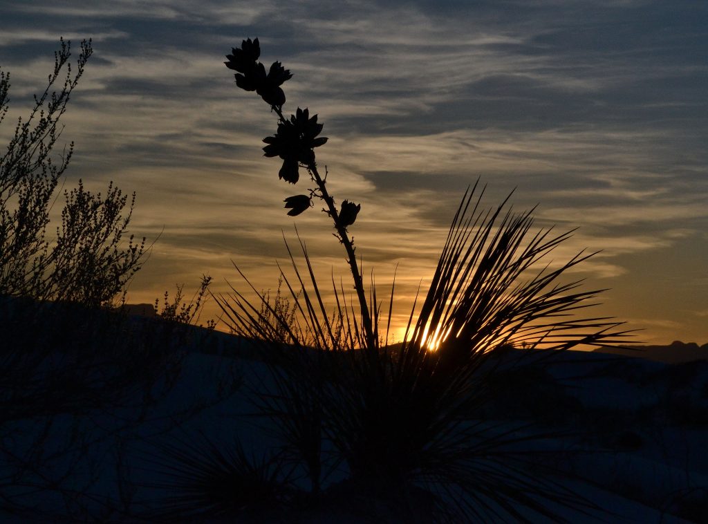 White Sands , Biele piesky