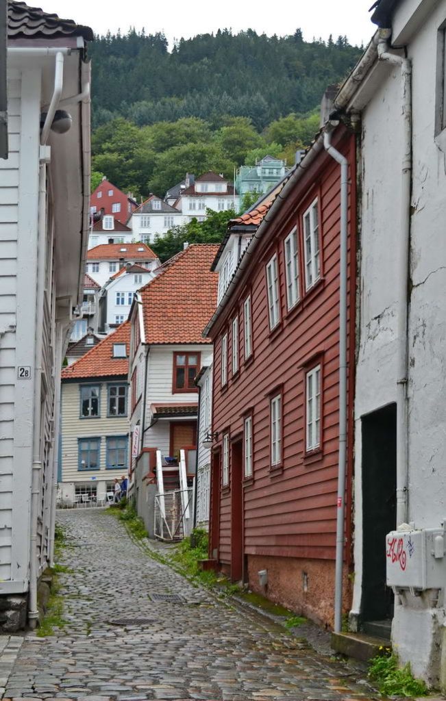 Bergen (14)