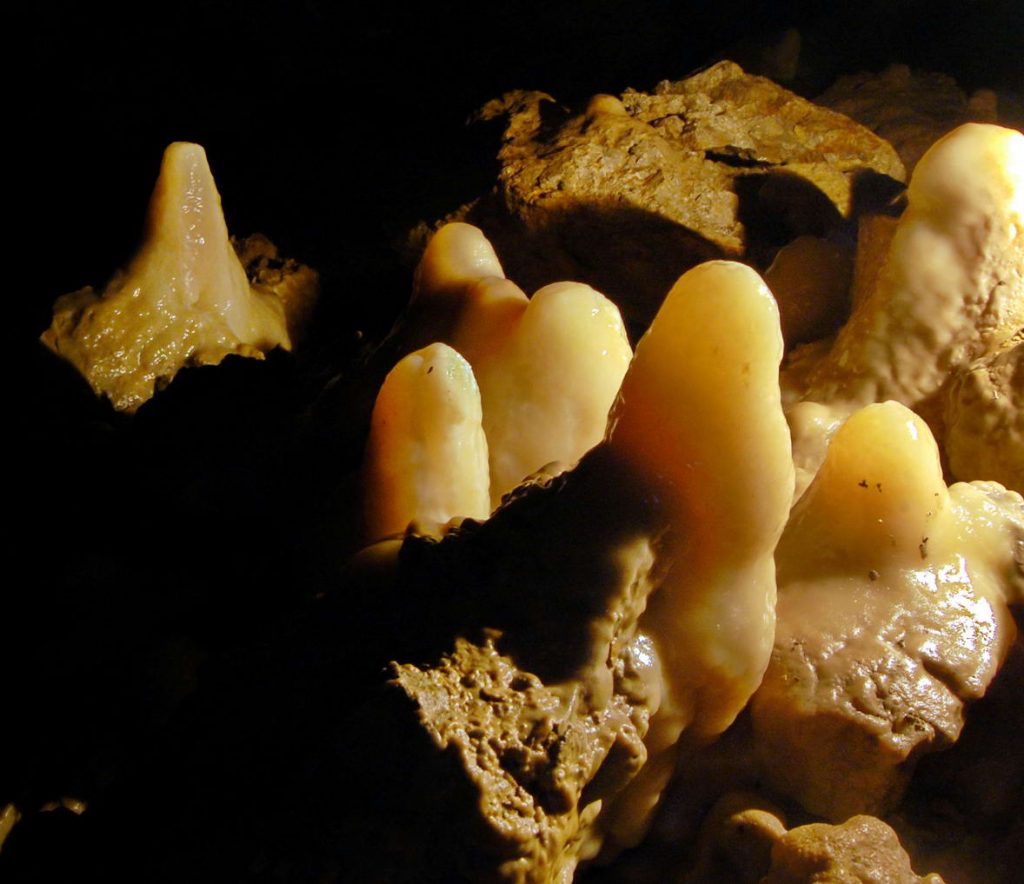 Jaskyne na Krakovej holi (16)