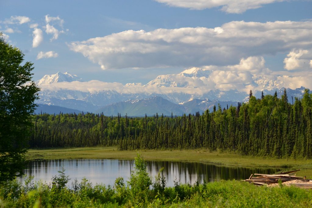 Denali, južný pohľad