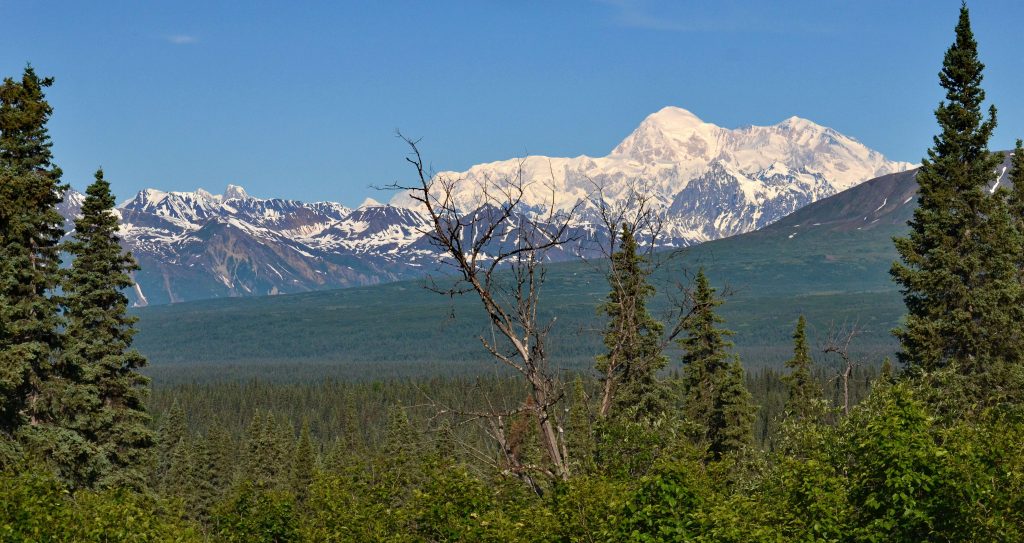 Denali