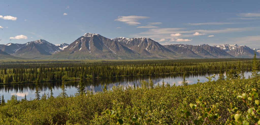 National Parc Denali Aljaška 